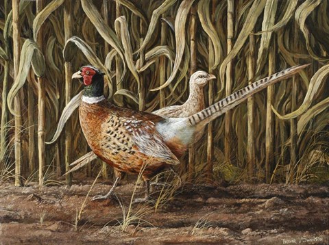 Framed From Cover Print