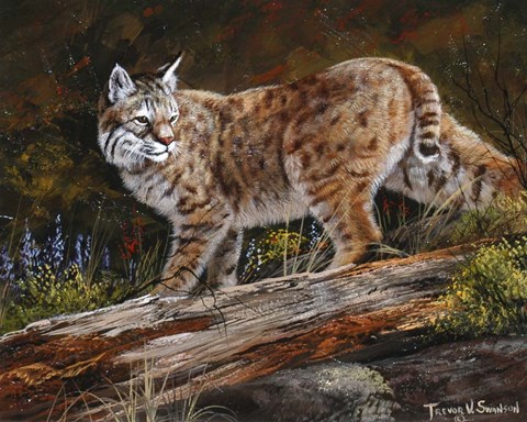 Framed Glancing Back Print