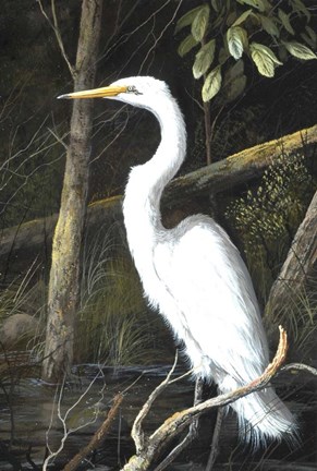 Framed In A Patch Of Light Print