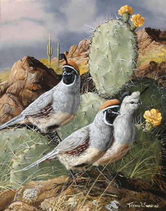 Framed Late Spring Storm Print