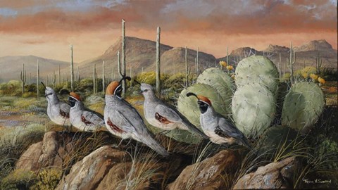 Framed Panther Peak Covey Print