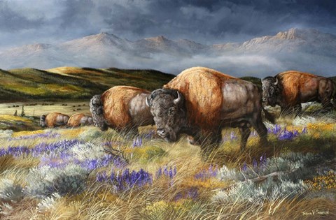 Framed Spring Storm&#39;s Passing Print