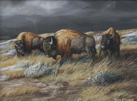 Framed Storm Remnants Print