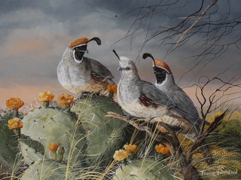 Framed Stormy Spring Print