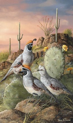 Framed Sunset And Blooms Print