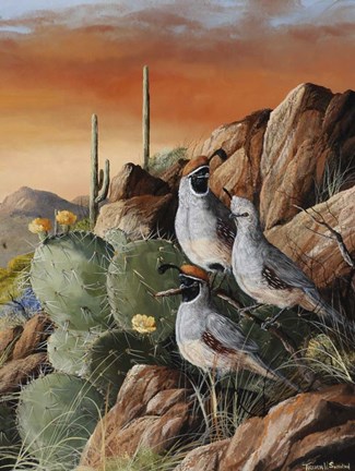 Framed Trio In Spring Print