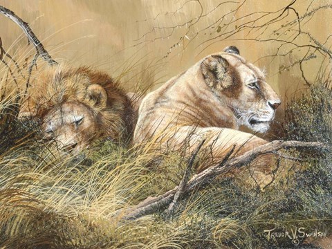 Framed Warm Afternoon Print