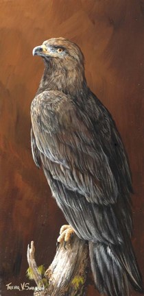 Framed Watchful Print