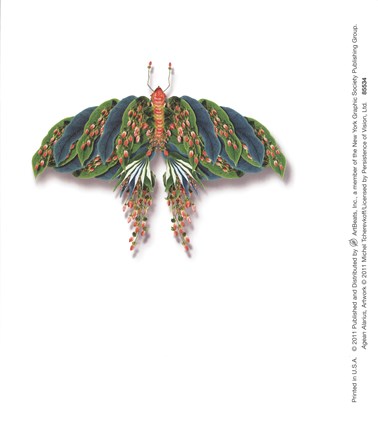 Framed Agean Alarius Print