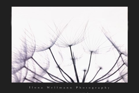 Framed Whispers Print