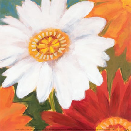 Framed Living Color III Print