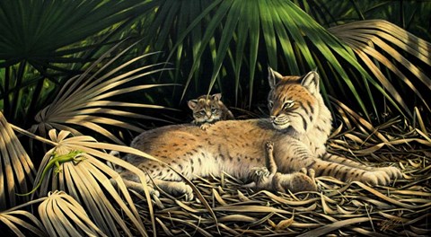 Framed Sunny Spot Bobcat with Kittens Print