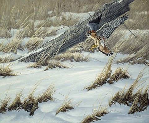 Framed Hit Or Miss Print