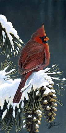 Framed Winter Cardinal Print