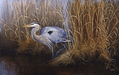 Framed Set In Gold - Great Blue Heron Print