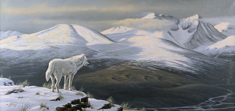 Framed Vantage Point Print