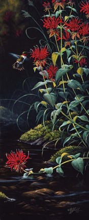 Framed Ruby Throated Hummingbird Print