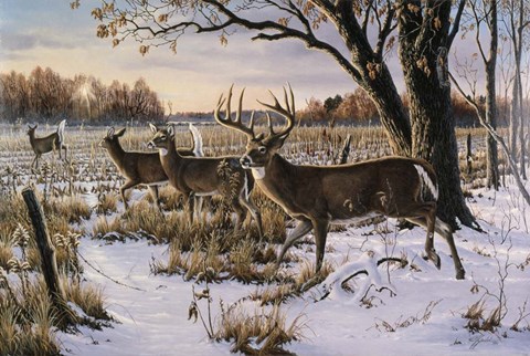 Framed Cautious Crossing - Whitetails Print