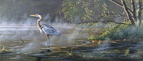 Framed Quiet Cove - Great Blue Heron Print