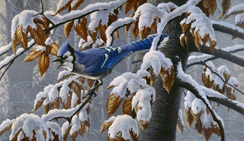 Framed Changing Season Print