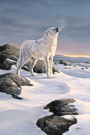 Framed Artic Song Print