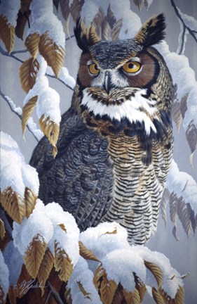 Framed Winter Watch - Great Horned Owl Print