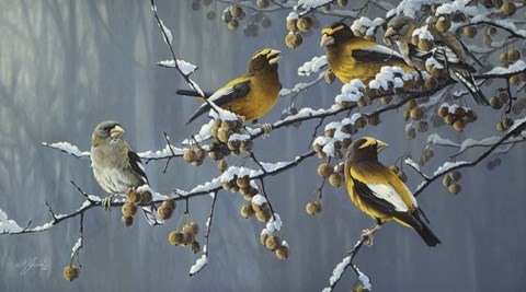 Framed Winter's Treat Print