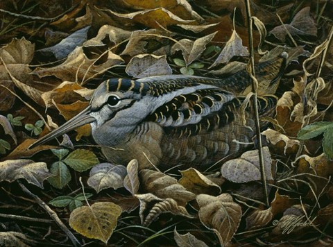 Framed Sitting Tight Print