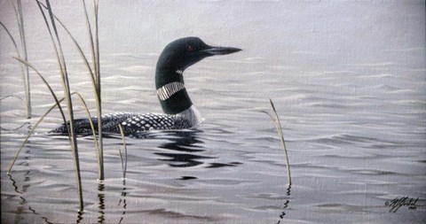 Framed Emerging Loon Print