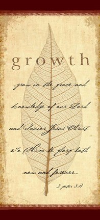 Framed 2 Peter 3v18 Print