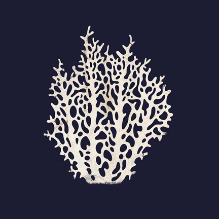 Framed Contemporary Coastal Coral Print