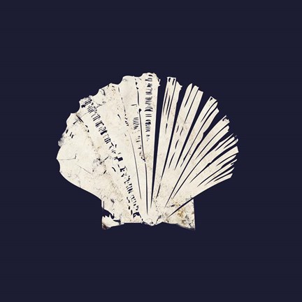 Framed Contemporary Coastal Shell I Print