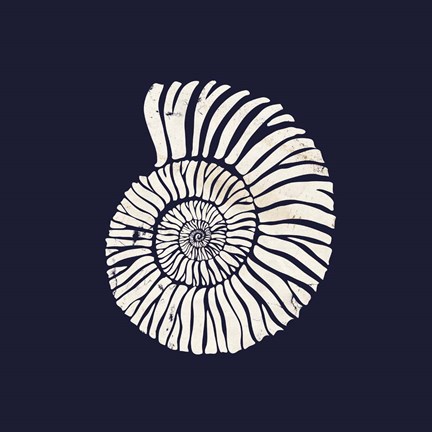 Framed Contemporary Coastal Shell II Print