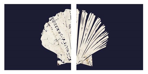 Framed Contemporary Coastal Shell Set Print