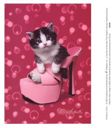 Framed Platform Kitty Print
