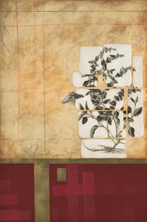 Framed Spice Of Life II Print