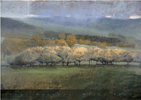 Framed Misty View Print