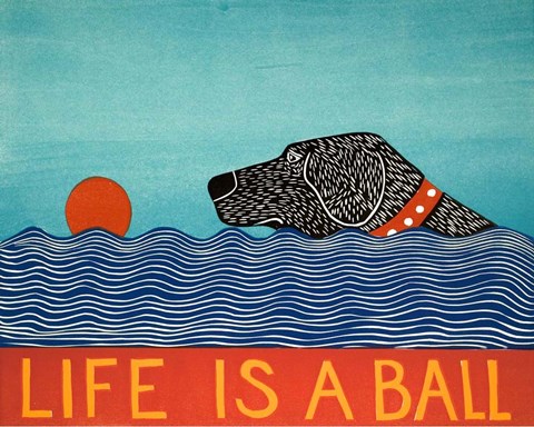 Framed Life is a Ball Black Print