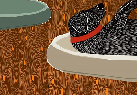 Framed Faux Paw Print