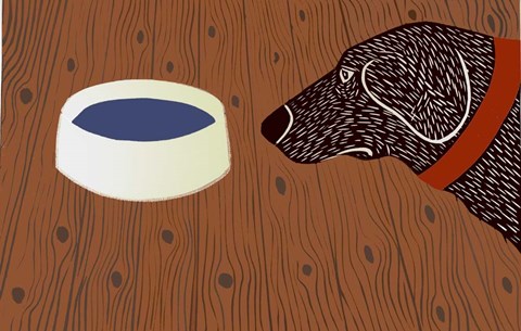Framed Water Bowl Good Dog Print
