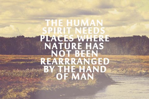 Framed Human Spirit Print