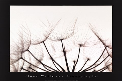 Framed Whispers - Sepia Print