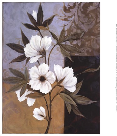 Framed Soft Floral II Print