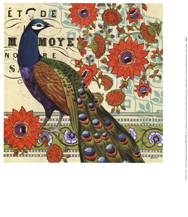 Framed Vintage Peacock II Print