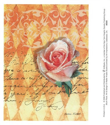 Framed Blush Rose Print