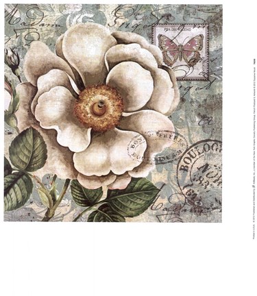 Framed French Postcard II Print