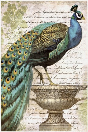 Framed Versailles Print