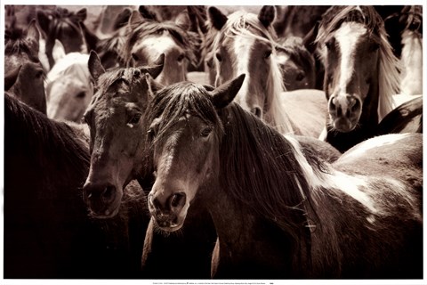 Framed Standing Room Only Print