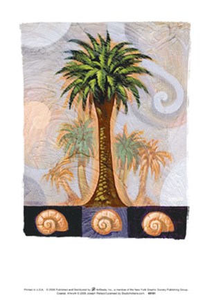 Framed Coastal Print