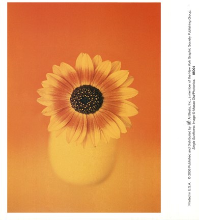 Framed Single Sunflower Print